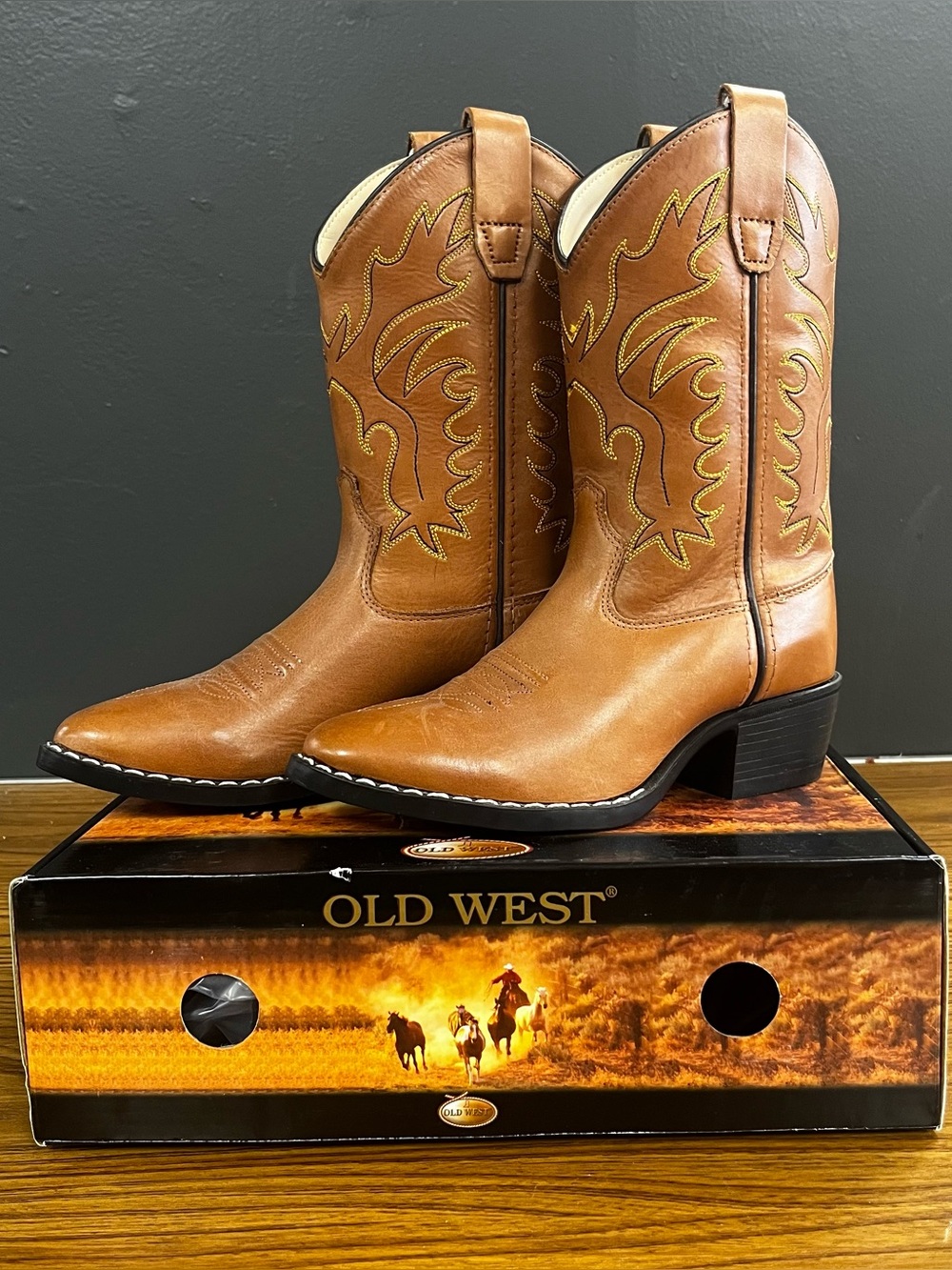 NIB Kids Old West Cowgirl Boots